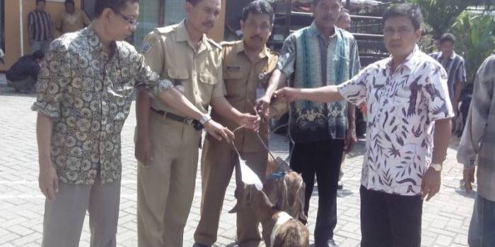 ?
BANTU KAMBING. Sektretaris Dinsos, Agus Setya Prambudi ketika menyerahkan bantuan kambing ke warga. foto : syuhud/bangsaonline