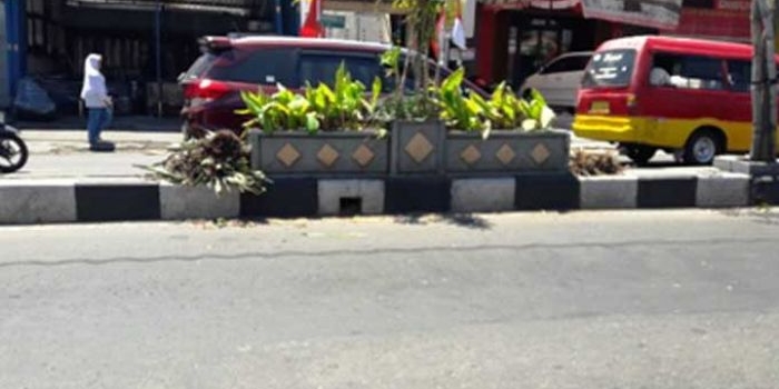 Bunga di median jalan kembali dibongkar BLH Gresik dengan dalih peremajaan. (foto: syuhud/ bangsaonline)