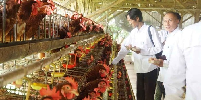 Pengurus dan Anggota PWI Kabupaten Tuban saat meninjau langsung Program Pemberdayaan yang digagas PT SIG pabrik Tuban untuk warga sekitar perusahaan.
