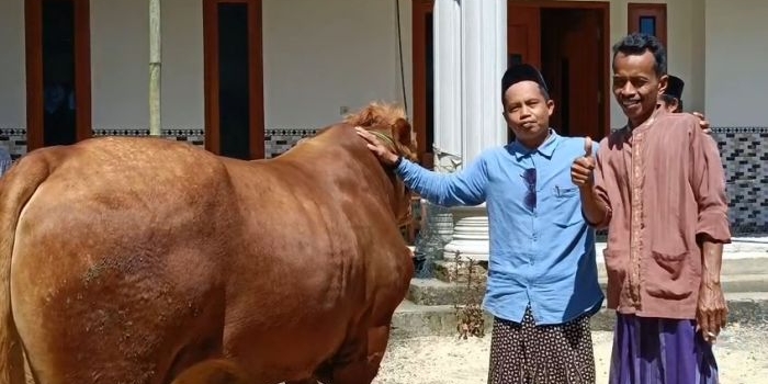 ekonomi-kolaboratif-369-berkah-gaet-350-peternak-kokop-dan-jual-385-hewan-kurban-di-iduladha-1446-h