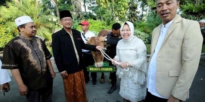 Risma saat menyerahkan hewan kurban. foto: ist