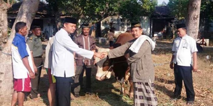 Penyerahan hewan kurban berupa 1 ekor sapi dan 6 ekor kambing oleh Letkol Arh Sri Rusyono S, S.E. Dandim 0810 kepada Ta’mir Masjid Baitussalam.