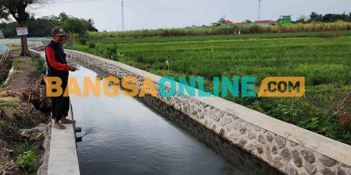 Plengsengan yang dibangun Pemkab Probolinggo dan dirasakan petani di Desa Clarak. Foto: ANDI SIRAJUDIN/BANGSAONLINE