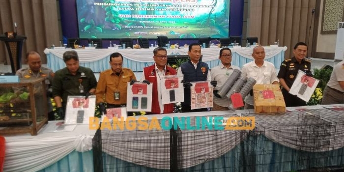sindikat-perdagangan-hewan-dilindungi-ke-thailand-terbongkar-11-pelaku-dibekuk-polda-jatim