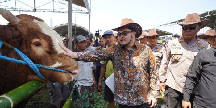 Bupati Kediri Hanindhito Himawan Pramana saat memegang salah satu sapi peserta kontes. (Ist).