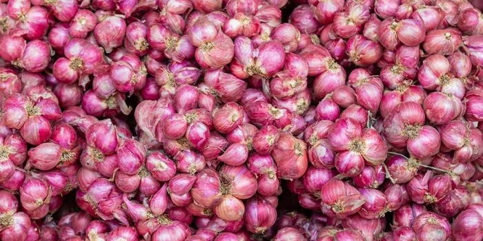 perubahan-harga-pangan-bali-15-juli-2025-bawang-merah-naik-cabai-keriting-turun
