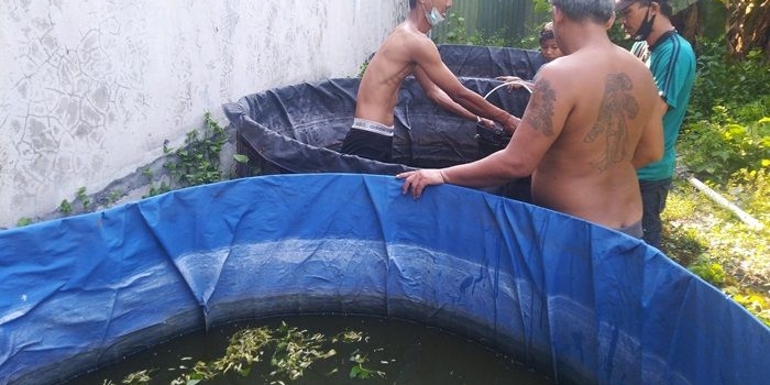 Kolam buatan milik Djoko Supriyono.