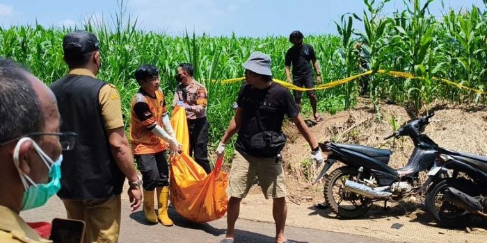 identifikasi-jasad-di-ladang-jagung-polres-jombang-tunggu-hasil-dna