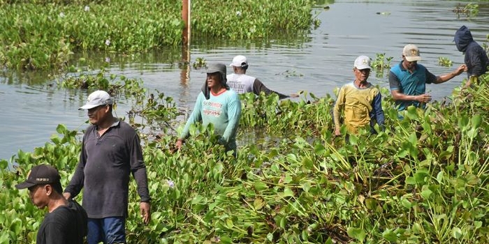 upaya-pertahankan-swasembada-pangan-pemkab-lamongan-siapkan-langkah-atas-kekeringan