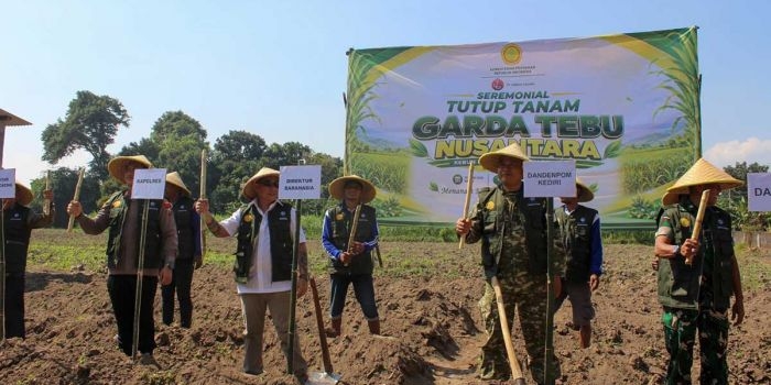 Tutup tanam Garda Tebu Nusantara di Kebun Benih Datar (KBD) tebu varietas Panjalu. Foto: Ist