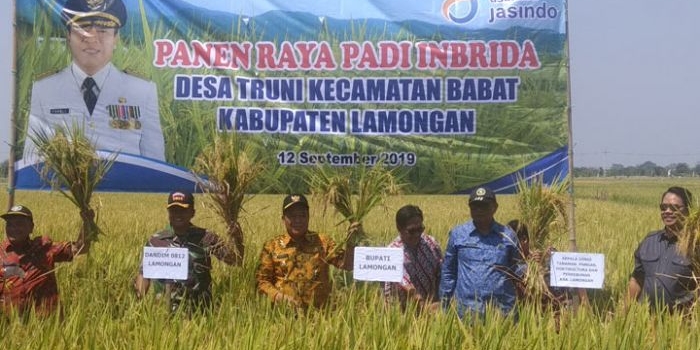Bupati Fadeli didampingi Kepala DTPH Lamongan Rujito saat panen raya.