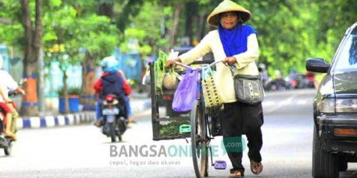 Salah seorang ibu di Kota Bojonegoro sedang berjuang mencari nafkah untuk keluarga, khususnya untuk anak-anaknya. Ia setiap hari menyusuri jalanan untuk menjual aneka sayuran dan belanjaan lainnya. foto: eky nurhadi/ BANGSAONLINE