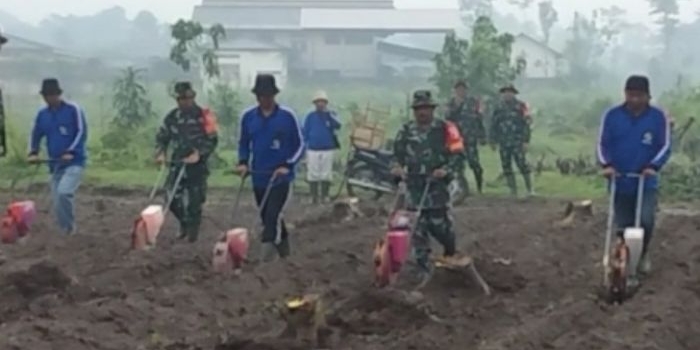 tmmd-ke-127-dorong-ketahanan-pangan-tni-dan-pemkab-kediri-tanam-jagung-di-desa-gadungan