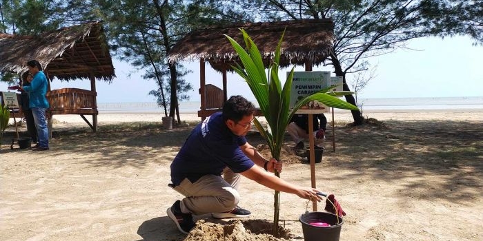 Branch Manager BRI Tuban, Ayub Burhan saat menanam pohon kelapa di Pantai Cemara, Desa Sugihwaras, Kecamatan Jenu.