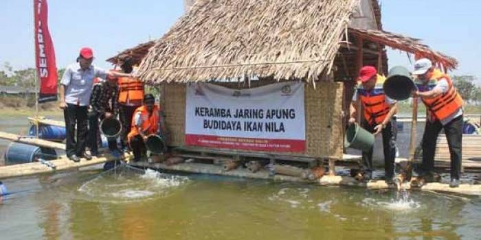 TEBAR - Dirut PT Semen Gresik bersama jajaran forpimda Kabupaten Tuban saat menebar benih ikan nila ke dalam keramba. foto: suwandi/BANGSAONLINE