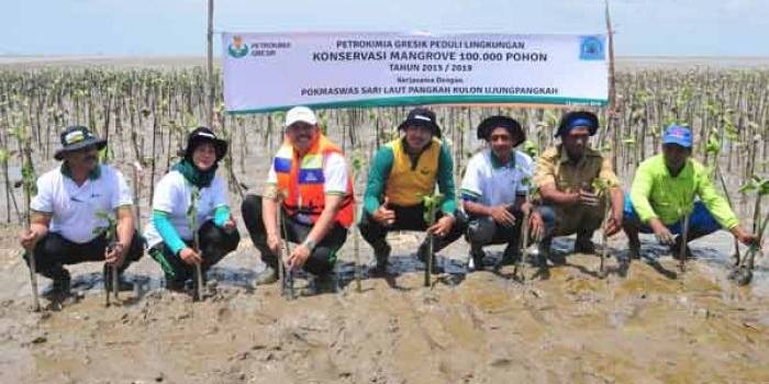 Tim PT PG ketika tanam mangrove. foto: syuhud/ BANGSAONLINE