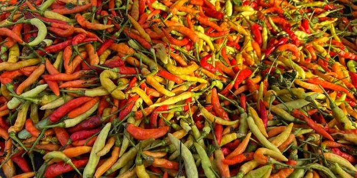 update-harga-sembako-surabaya-17-mei-2025-cabai-rawit-rp24-ribu-per-kilo