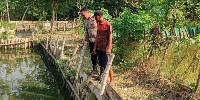dukung-program-ketahanan-pangan-polsek-candi-pantau-budidaya-ikan-lele-di-kalipecabean-candi
