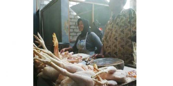 SEPI. Penjual ayam potong sedang menunggu ayam daganganya. foto: haris/BANGSAONLINE