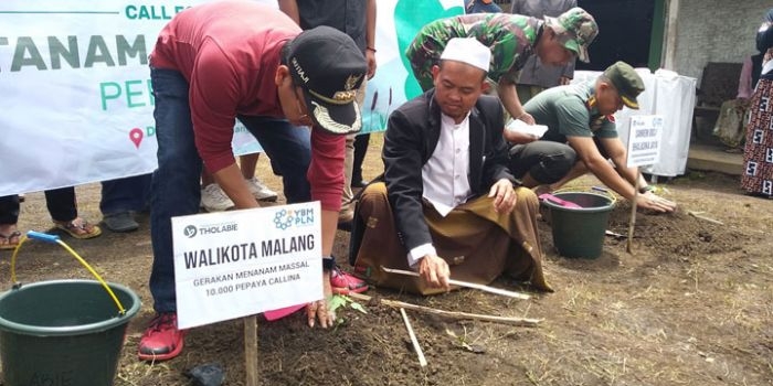 Wali Kota Malang Sutiaji didampingi Ust. Nuril Ashuri bersama Danrem 083/BJ Kol. Inf Zainudin menanam bibit pepaya Callina di Dusun Baran Kelurahan Buring Kedungkandang Kota Malang, Minggu (12/01/20). foto: IWAN IRAWAN/ BANGSAONLINE