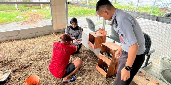 manfaatkan-lahan-hidran-lapas-pemuda-madiun-ajak-wbp-beternak-ayam-kampung