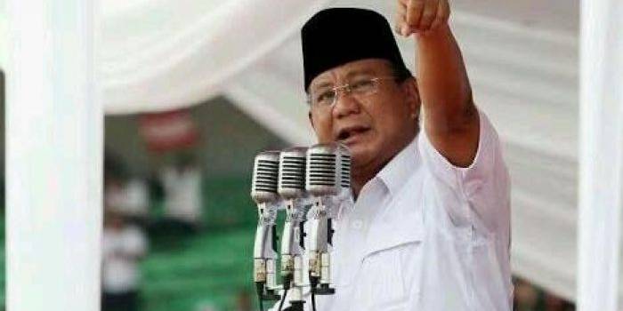 Prabowo Subianto. foto: detik.com