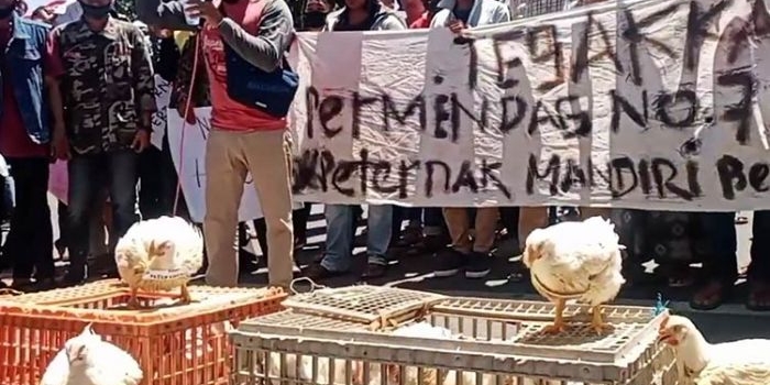 Puluhan peternak ayam potong saat demo di depan Kantor Pemerintah Kabupaten Pamekasan. (foto: ist).