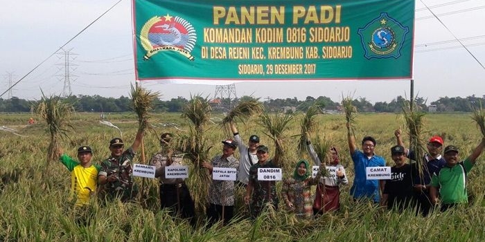 Dandim 0816 Sidoarjo turun ke sawah awali musim tanam dan panen raya mewujudkan ketahanan pangan dan ketahanan negara.
