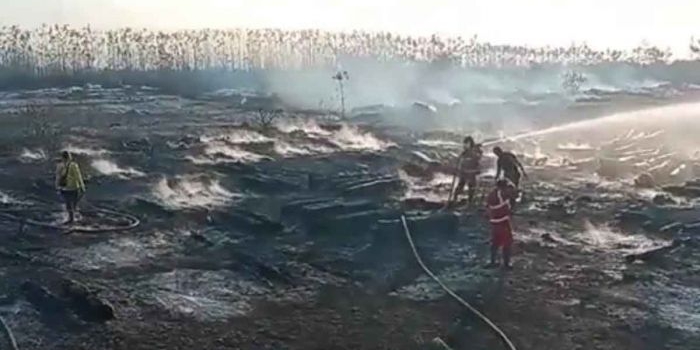 Kebakaran lahan kilang minyak di Desa Sumurgeneng, Tuban.