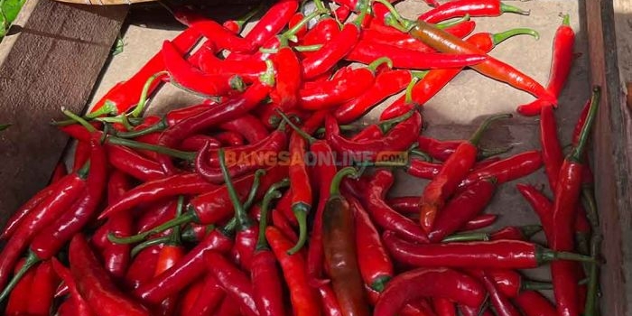 beberapa-komoditas-pangan-di-kota-kediri-hari-ini-alami-penurunan-simak-daftarnya-berikut-ini