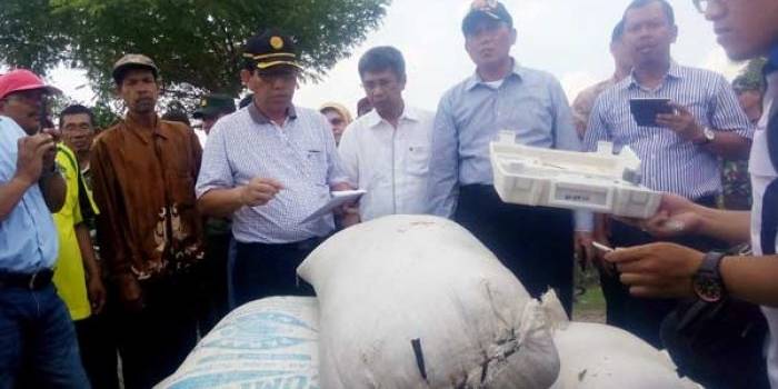 Staf Bulog Sub Divre III dan beberapa staf Dirjen Pertanian RI saat mengecek kandungan air pada gabah petani di Kanor. foto: eky nurhadi/ BANGSAONLINE