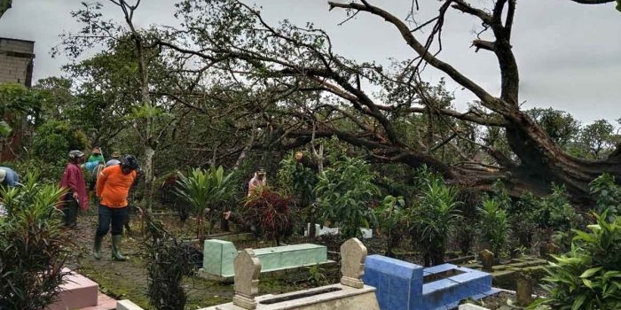 Petugas dari BPBD Kota Batu saat mengevakuasi pohon tumbang yang menimpa makam.
