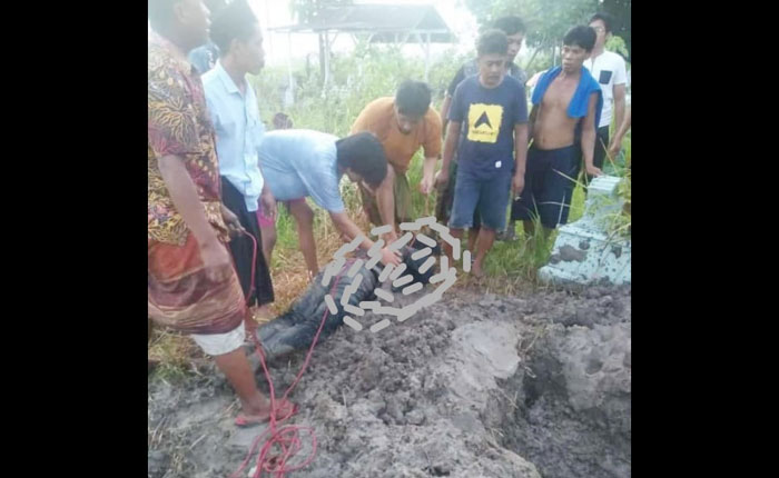 PIW saat ditangkap warga karena nekat membongkar makam di Desa Konang, Kecamatan Galis, Kabupaten Pamekasan.