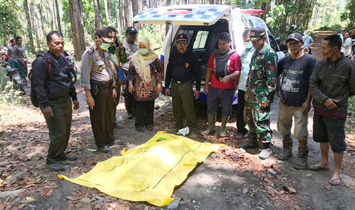 Nenek Mrs X di Hutan Jember Tewas dengan Kaki Kiri Habis Dimakan Hewan Buas