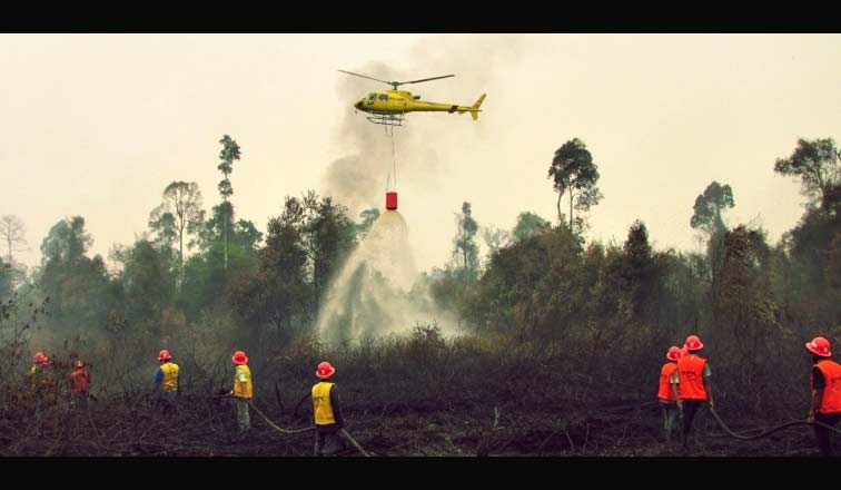 Sejumlah petugas terus berusaha memadamkan api yang membakar kawasan hutan di Riau.