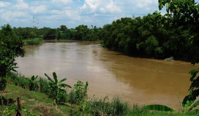 MASIH AMAN: Sungai Bengawan Solo yang melintasi Lamongan.