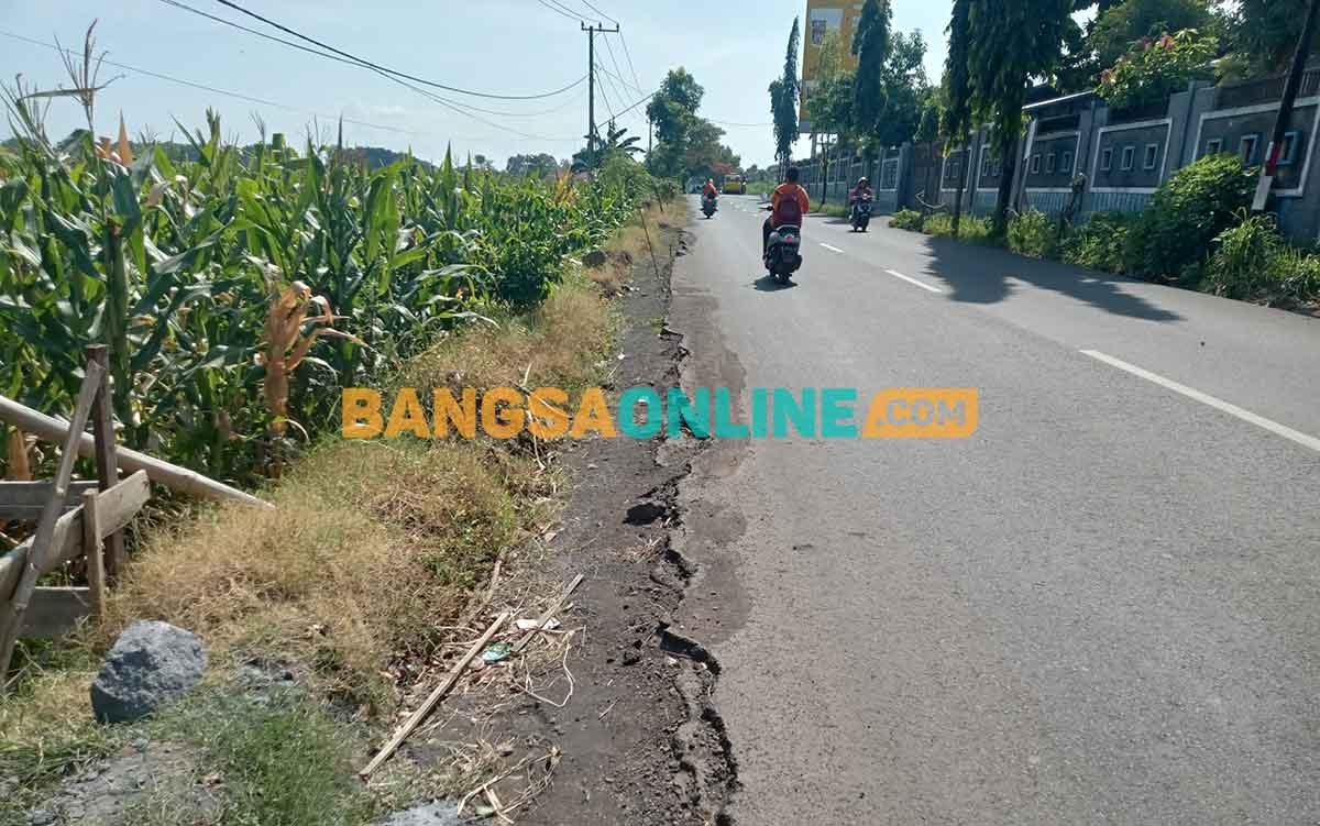 Proyek pemeliharaan Jalan Semeru Kelurahan Triwung Kidul, Kecamatan Kademangan, Kota Probolinggo. Foto: SUGIANTO/BANGSAONLINE