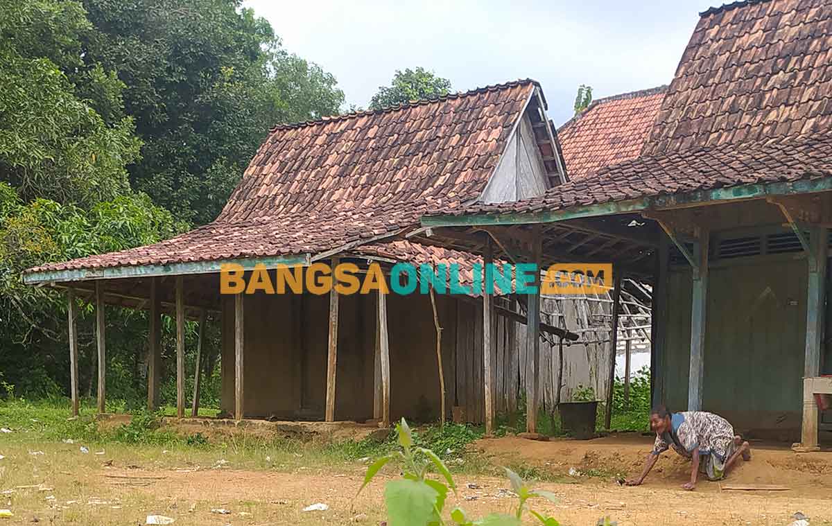 Budeli saat merangkak dari lincak menuju halaman rumah yang ditempati. Foto: MUTAMMIM/BANGSAONLINE
