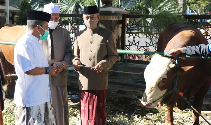 Wawali Batu Serahkan Hewan Kurban Jenis Sapi Limosin Seberat 850 Kuintal