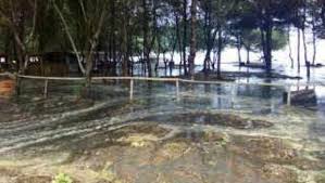 Banjir rob di pantai Tambakrejo, Blitar. foto: detikcom