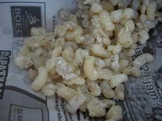 pakan alami burung, tapi menjadi 