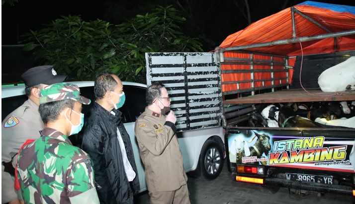 Petugas Polres Bangkalan saat mengamankan pikap yang membawa 20 ekor kambing dari Blora, Jawa Tengah.