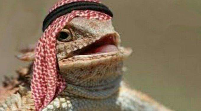Foto ini diambil dari saudinesia.com. Dalam caption saudinesia.com tertulis: Foto diambil dari media anti Arab (dibaca anti sunnah)