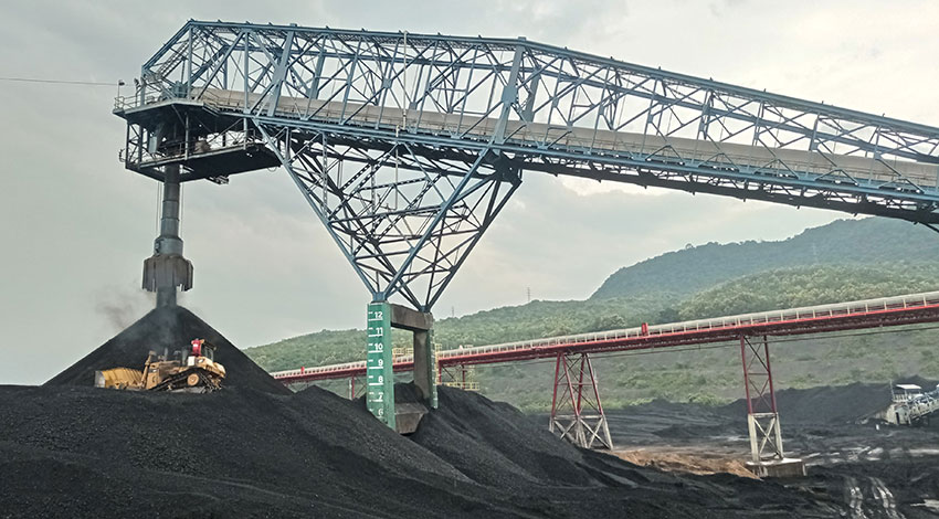 Serbuk kayu yang akan dicampur dengan batu bara untuk selanjutnya diproses menjadi CoForing.