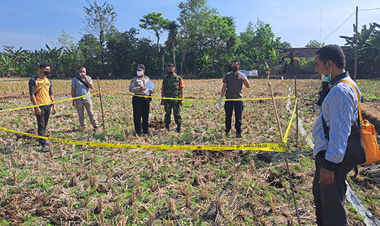 Olah TKP tewasnya petani akibat tersengat jebakan tikus yang dialiri listrik.