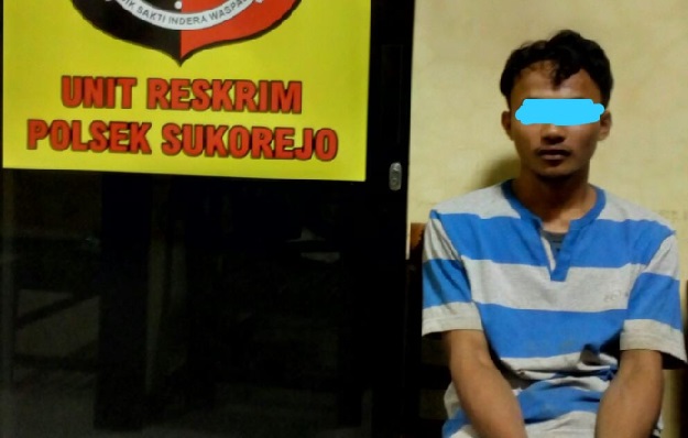 
Pelaku curat berhasil diamankan Polsek Sukorejo