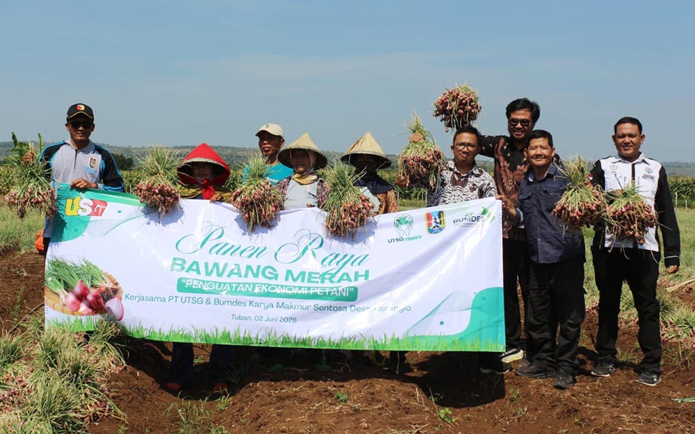Manajemen PT UTSG foto bersama Pengurus BUMDes Karya Makmur Santosa dan para petani saat panen bawang merah.