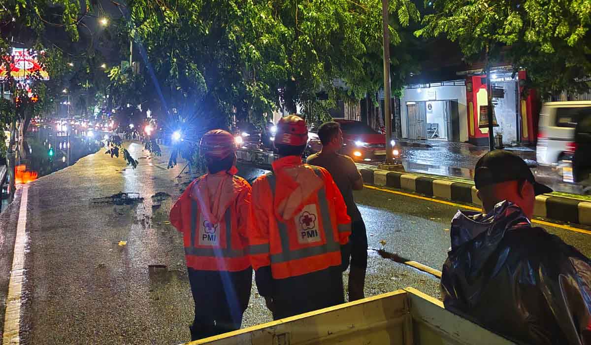 Petugas dari BPBD Sidoarjo saat mengevakuasi pohon tumbang.