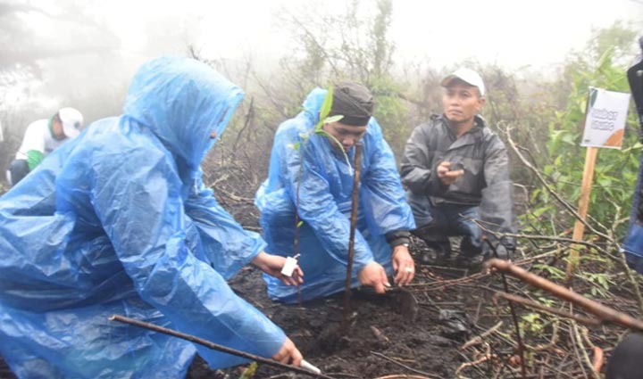 Bupati Lumajang saat menanam bibit pohon.