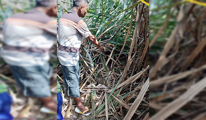 Warga saat menunjukkan lokasi kejadian.